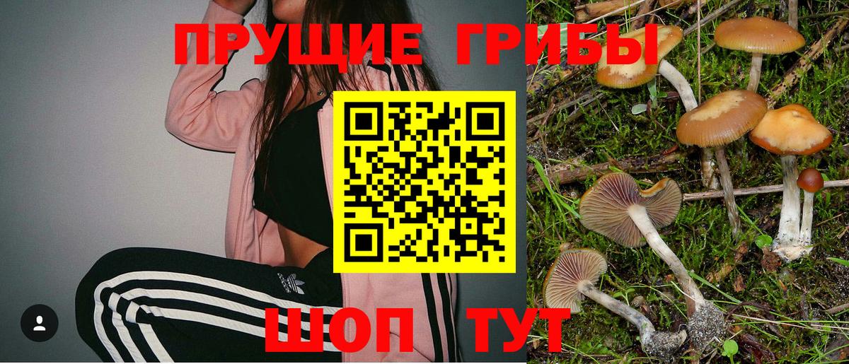 Пенза  Псилоцибиновые грибы мухоморы  Галлюциногенные грибы Psilocybine cubensis  Вход с VPN 