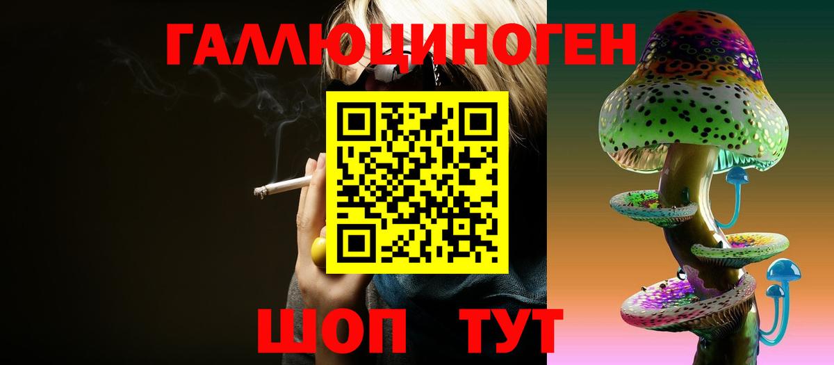 Псилоцибиновые грибы Psilocybe Пенза